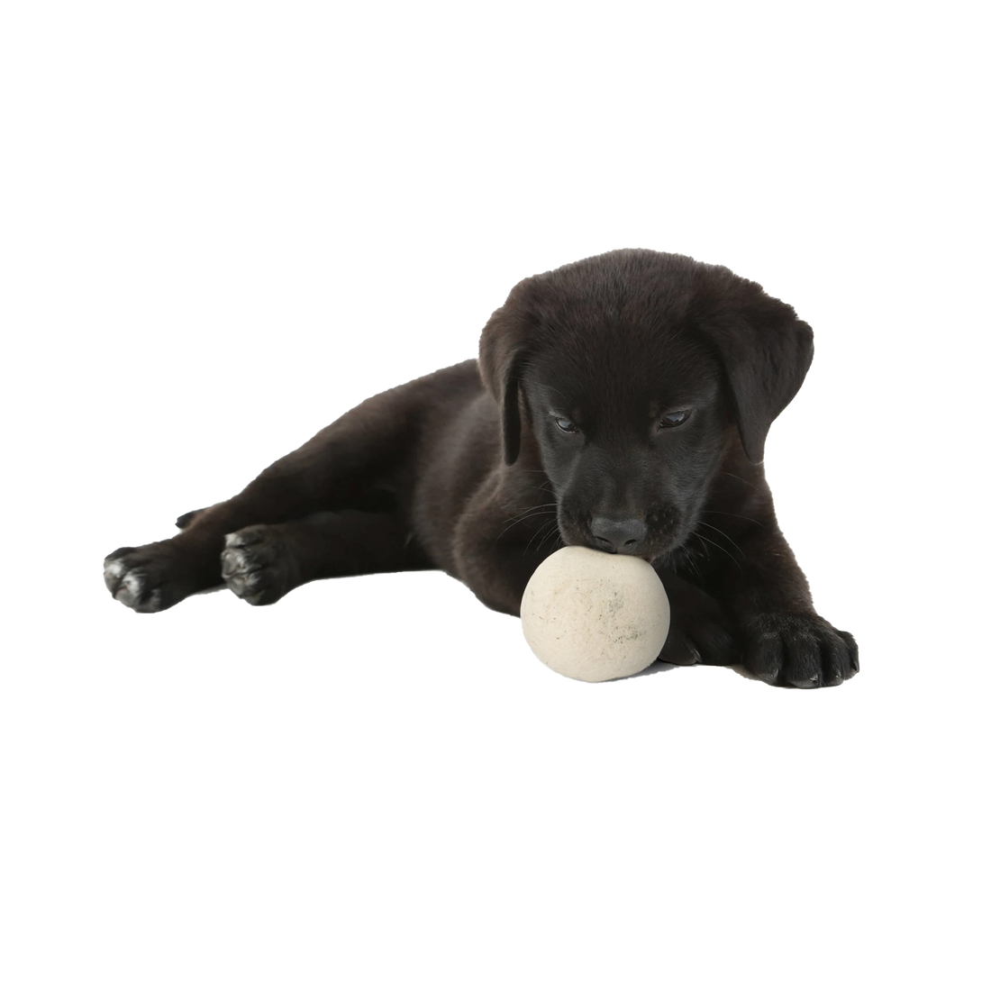 Moss Creek "Woolf" Balls for Dogs - 6-Pack, 2 Balls in Each Cotton Pouch
