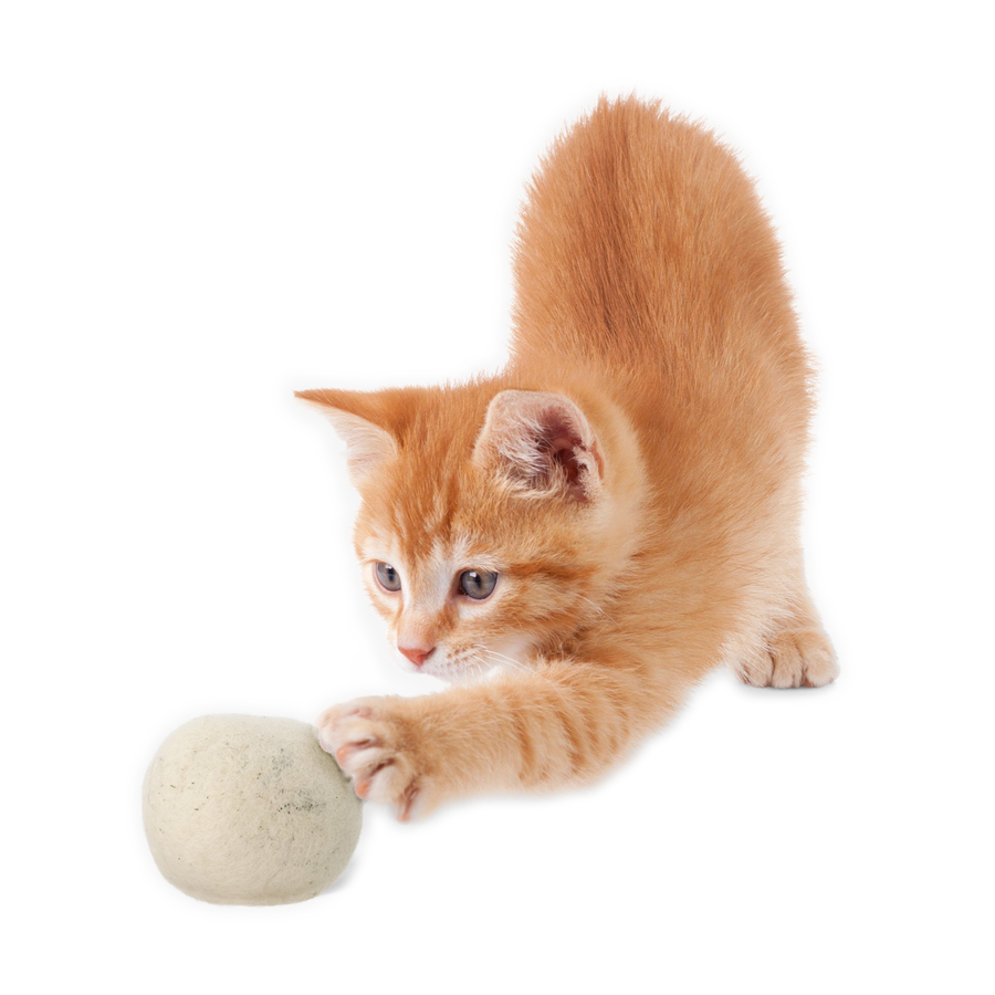 "Meow" Catnip Infused Wool Balls - 6-Pack, 2 Balls in Each Cotton Pouch