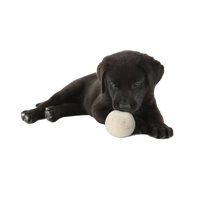 "Woolf" Balls for Dogs - 6-Pack, 2 Balls in Each Cotton Pouch